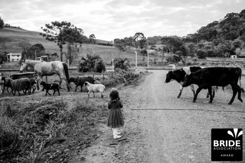 Camila Pansera | Rio Grande do Sul