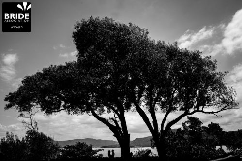 Diego K. Ribeiro | Paraná