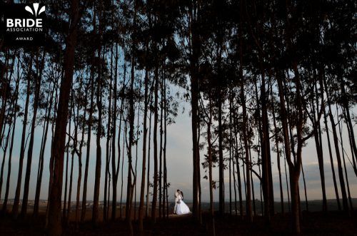 Marcio Virtudes | Minas Gerais