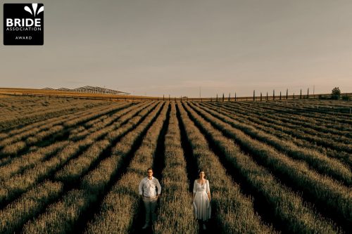 Paulo Araujo | Paraná
