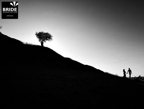 Aldo Bernardis | Bahia