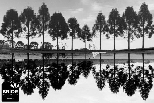 Diego K. Ribeiro | Paraná